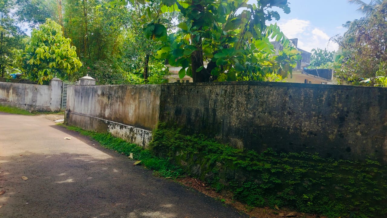21 Cents of House Pot - for sale in nedumbassery, Kochi, Kerala