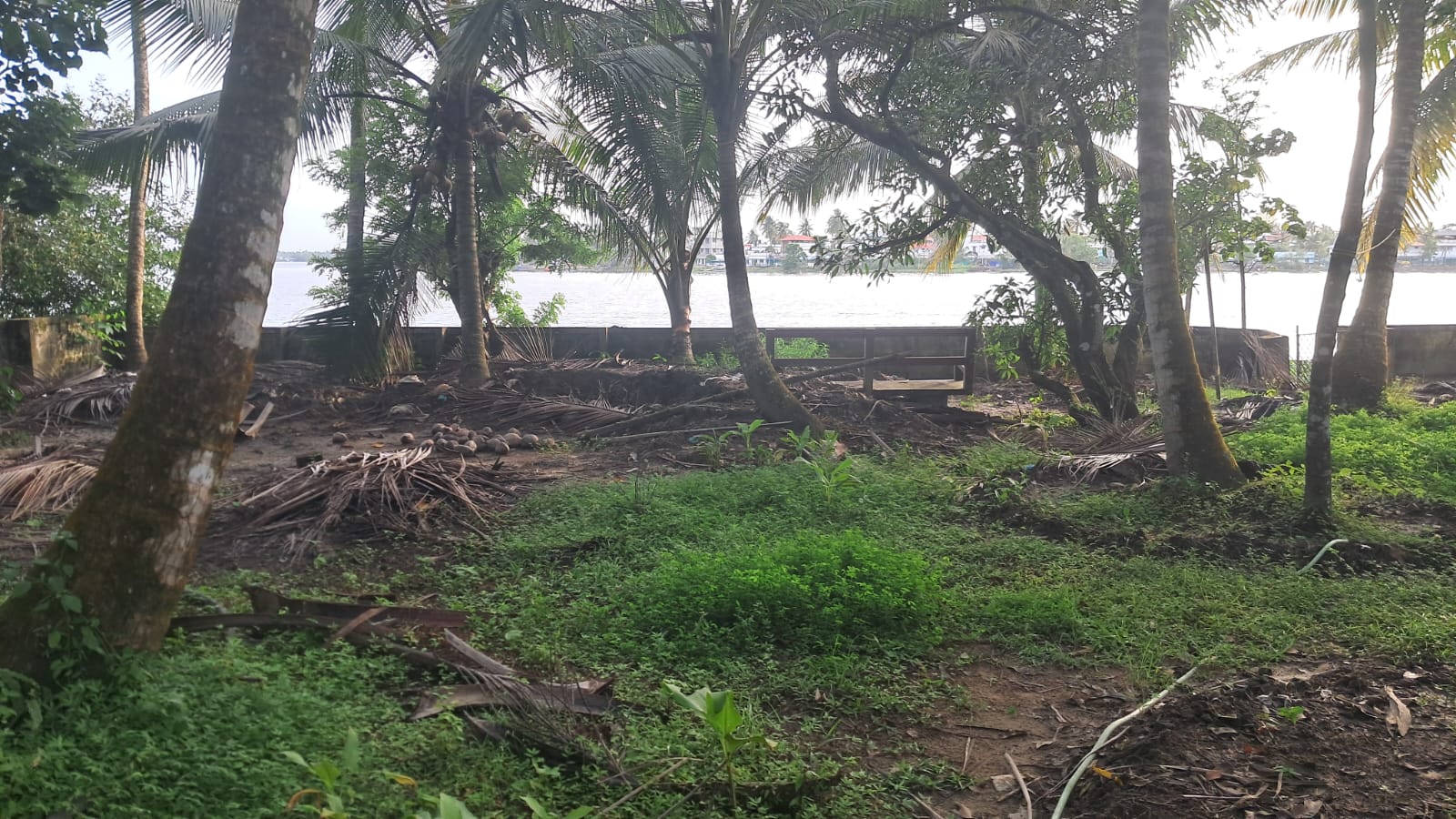 21 cents of prime Commercial/ Residential waterfront property - for sale in Nettoor, Kochi ( Ernakulam ), Kerala