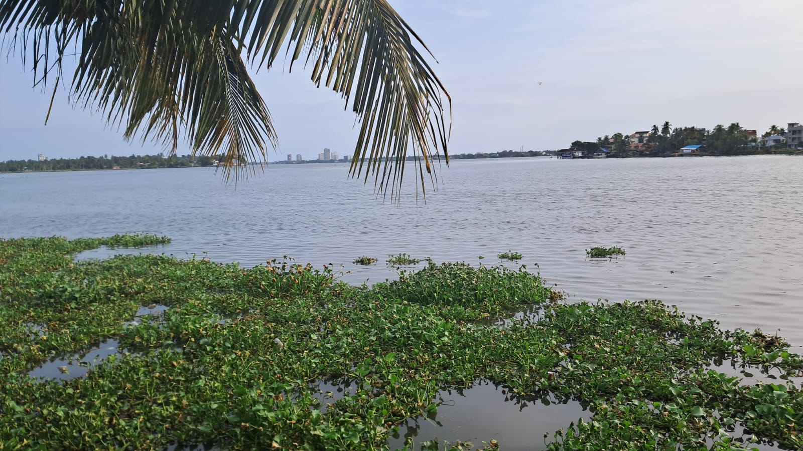21 cents of prime Commercial/ Residential waterfront property