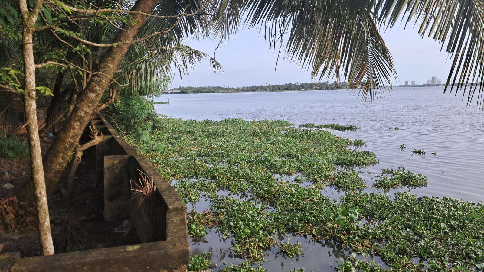 21 cents of prime Commercial/ Residential waterfront property