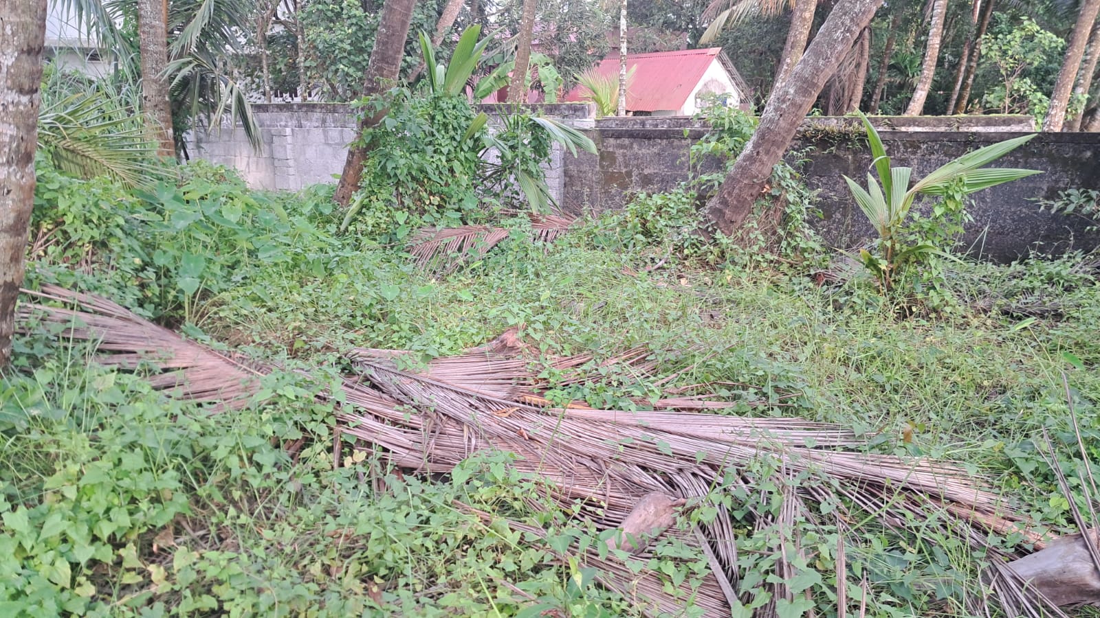 21 cents of prime Commercial/ Residential waterfront property