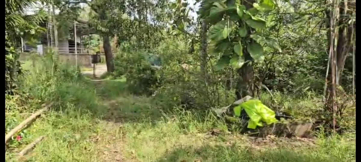 22 Cent of Land in a Villa Project - for sale in vyttila, Kochi, Kerala
