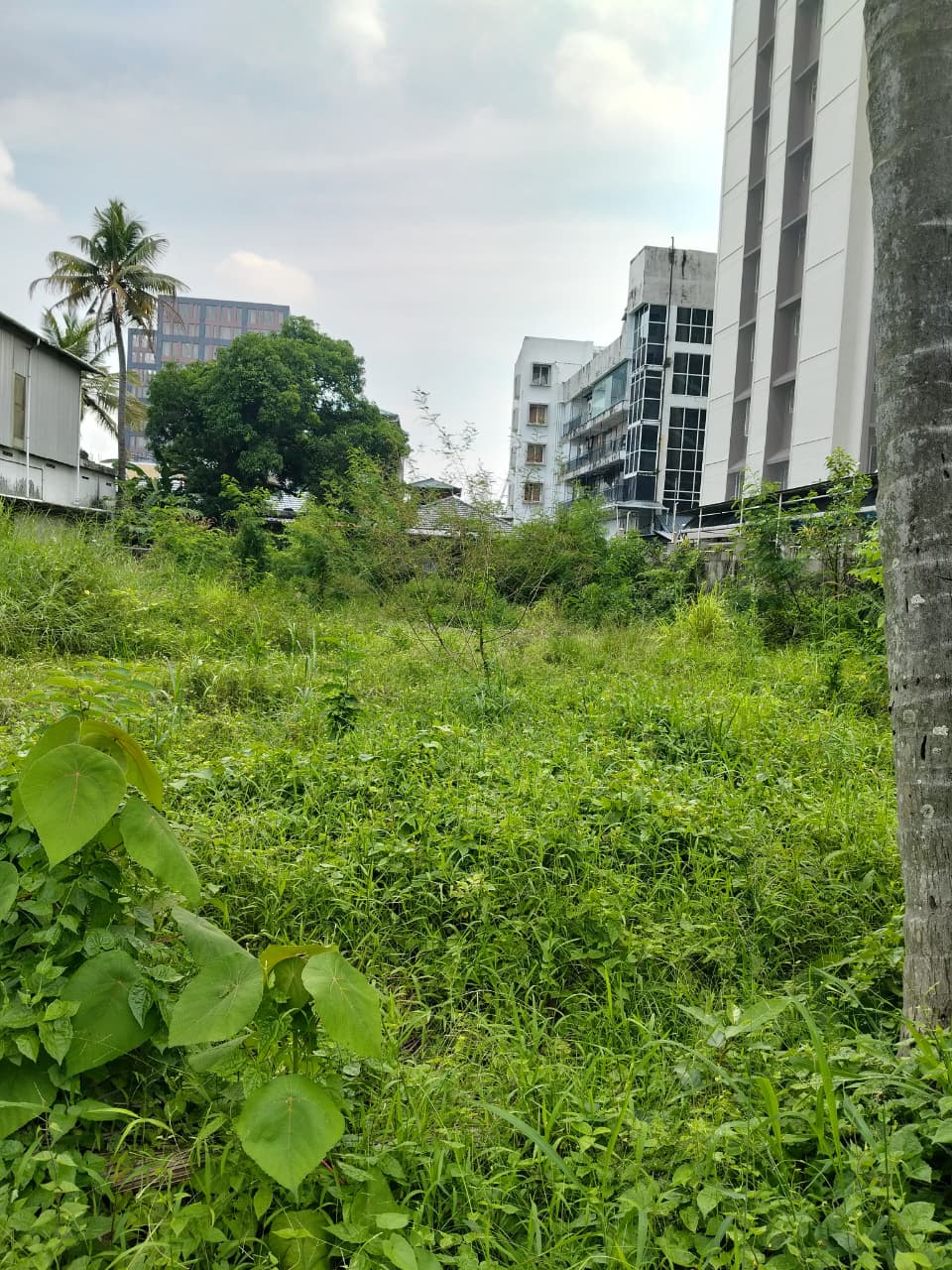 22 cents of Commercial Land - for sale in Palarivattom, Kochi ( Ernakulam ), Kerala