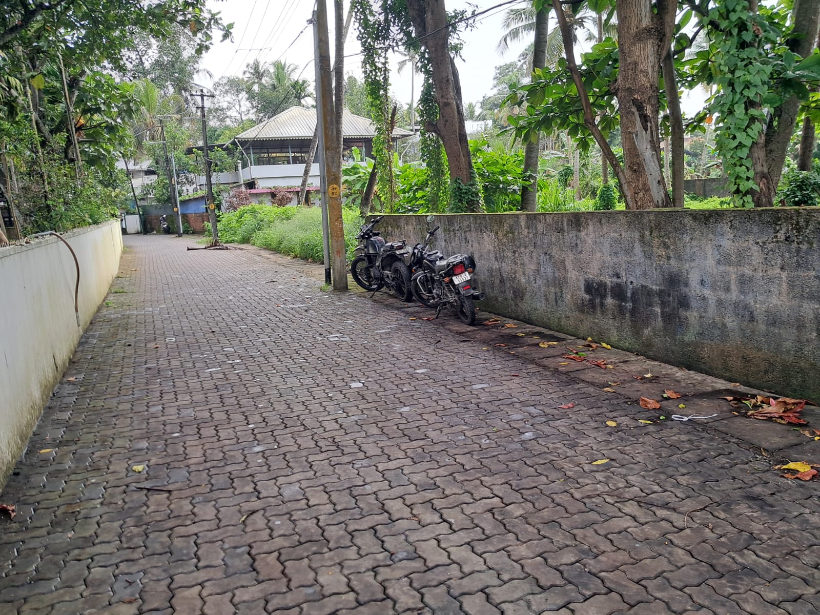 22 Cents of prime Commercial property
