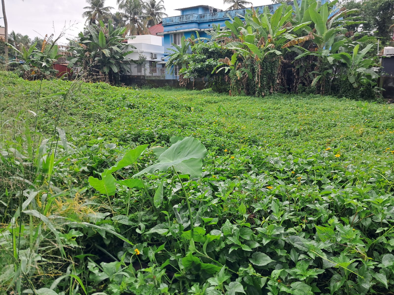 22 Cents of prime Commercial property