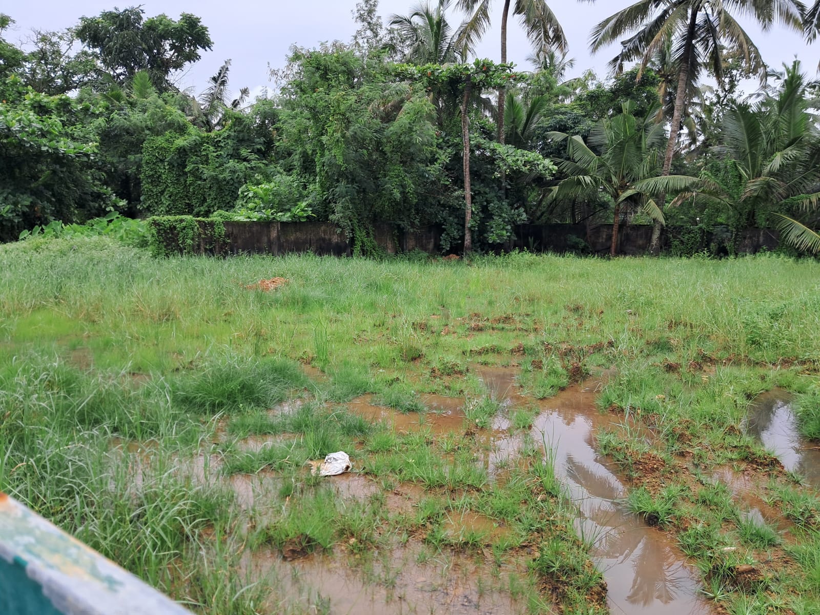 22 Cents of Residential Property in a Villa Project in Kadavanthra - for sale in Kadavanthra, Kadavanthra, Kerala