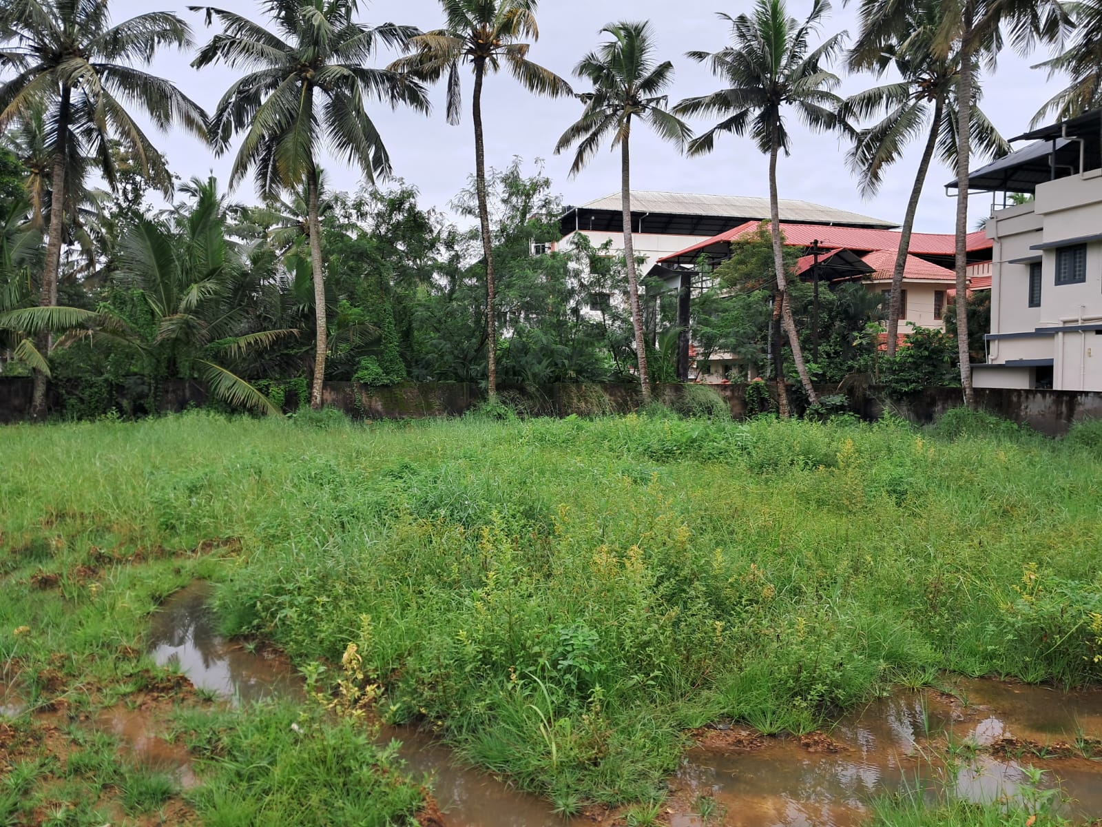 22 Cents of Residential Property in a Villa Project in Kadavanthra