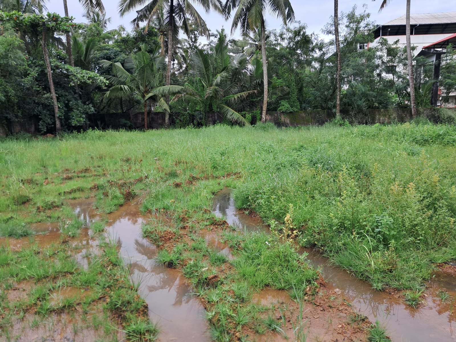 22 Cents of Residential Property in a Villa Project in Kadavanthra