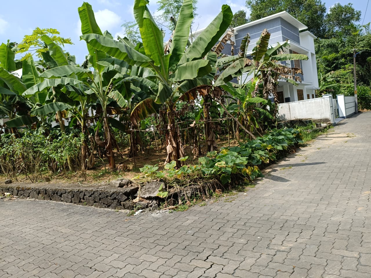 2250sqft 4BHK  Semifurnished House