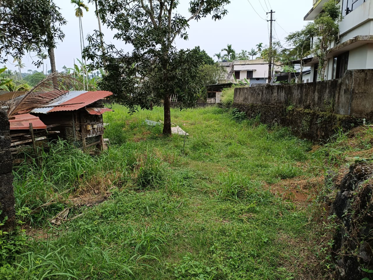 23 Cents of Land - for sale in Pallikkara, Kochi, Kerala