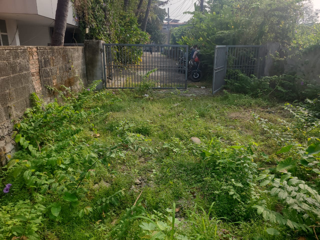 25 cents of Land - for sale in Panampilly Nagar, Kochi ( Ernakulam ), Kerala