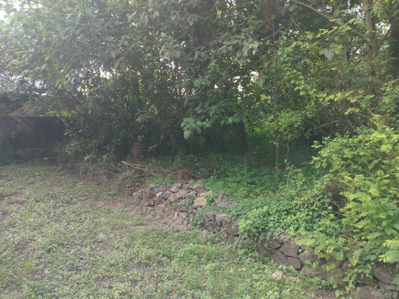 25 cents of Land - for sale in Angamally, Kochi ( Ernakulam ), Kerala