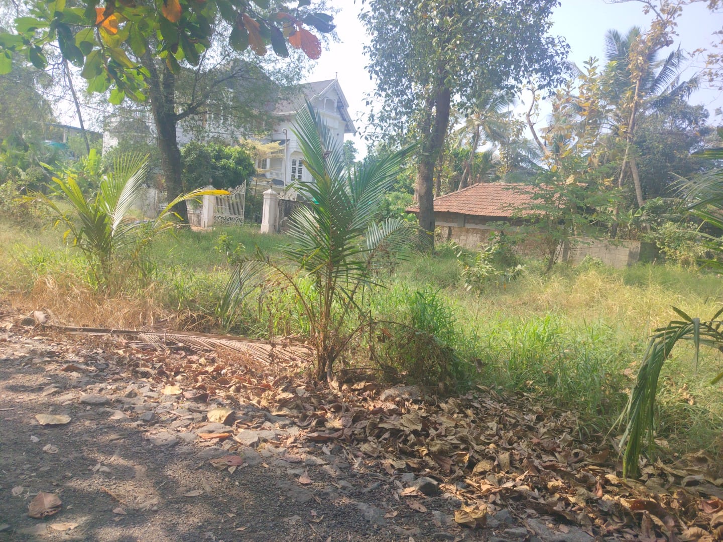 27 cents of Land - for sale in Chakkaraprambu, Kochi ( Ernakulam ), Kerala