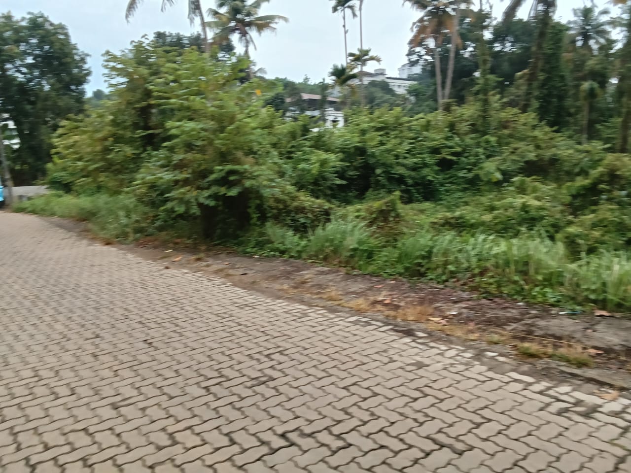 29 cents of Commercial Land - for sale in Palarivattom, Kochi ( Ernakulam ), Kerala