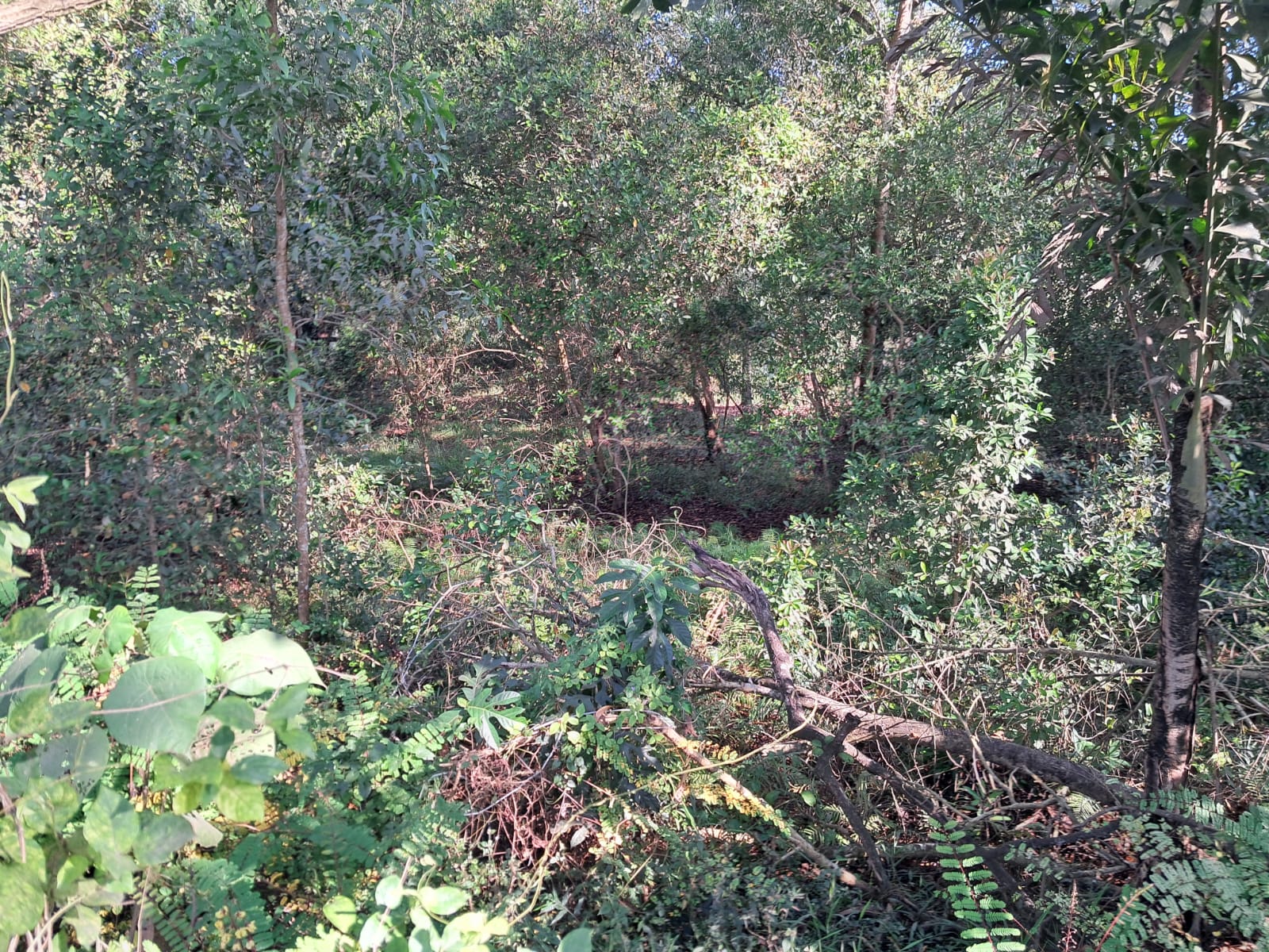 3.5 Acres of Prime Residential/commercial Plot