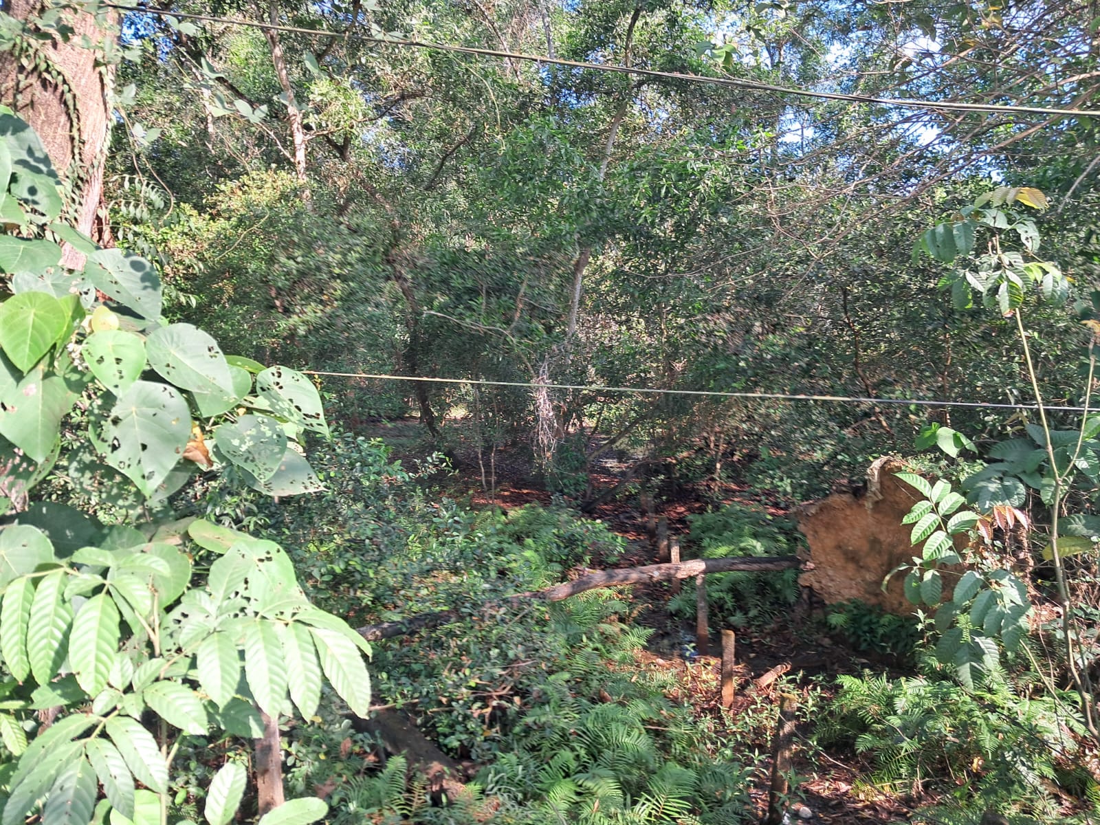 3.5 Acres of Prime Residential/commercial Plot