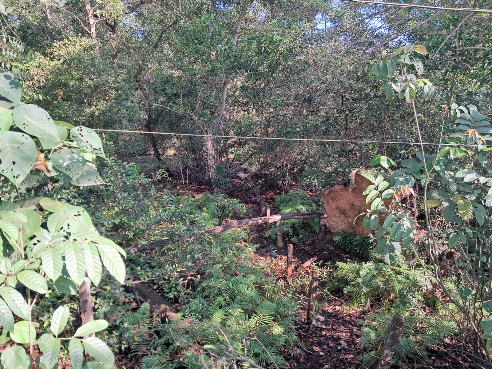 3.5 Acres of Prime Residential/commercial Plot