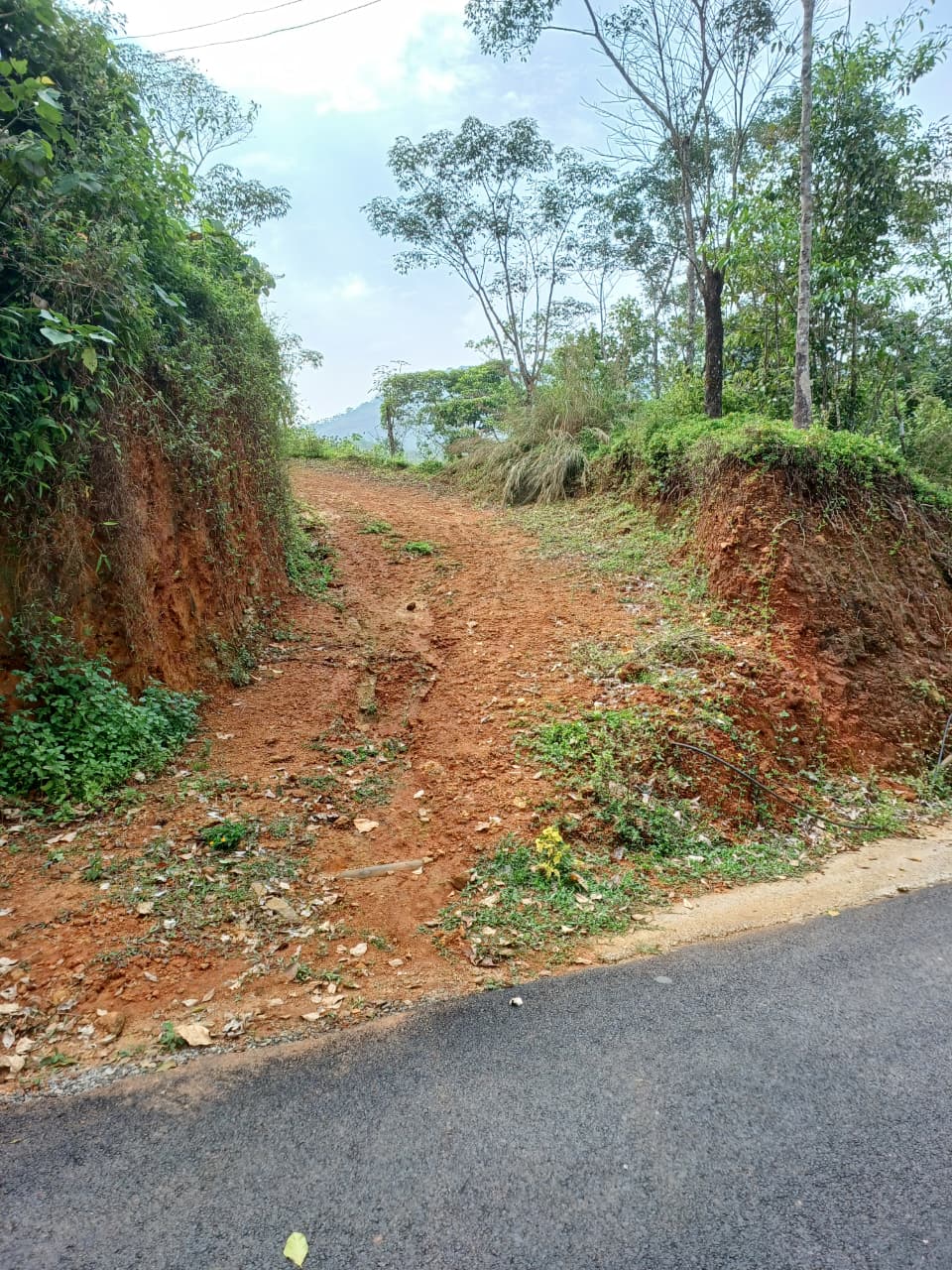 3.5acre land with old house