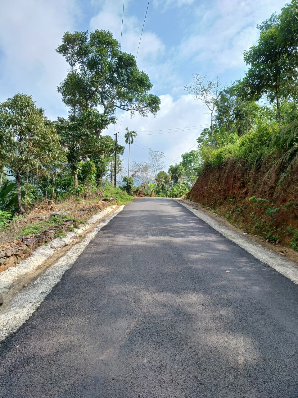 3.5acre land with old house