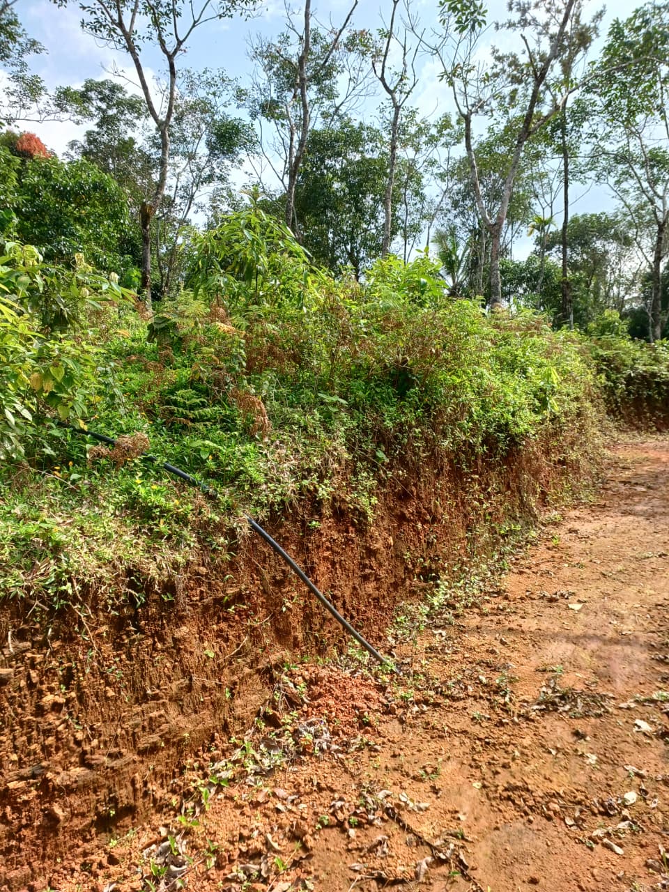 3.5acre land with old house