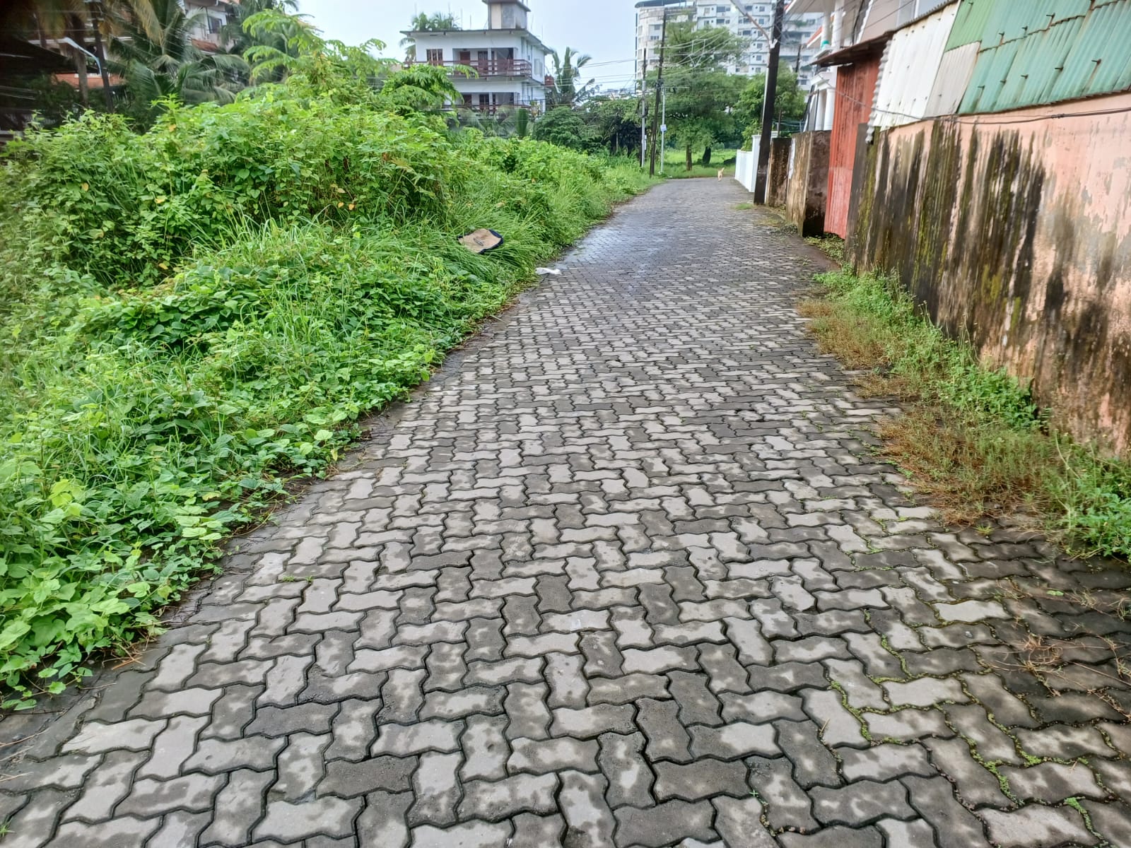 3-5cents of House Plots in Thevakkal, Vikasavani