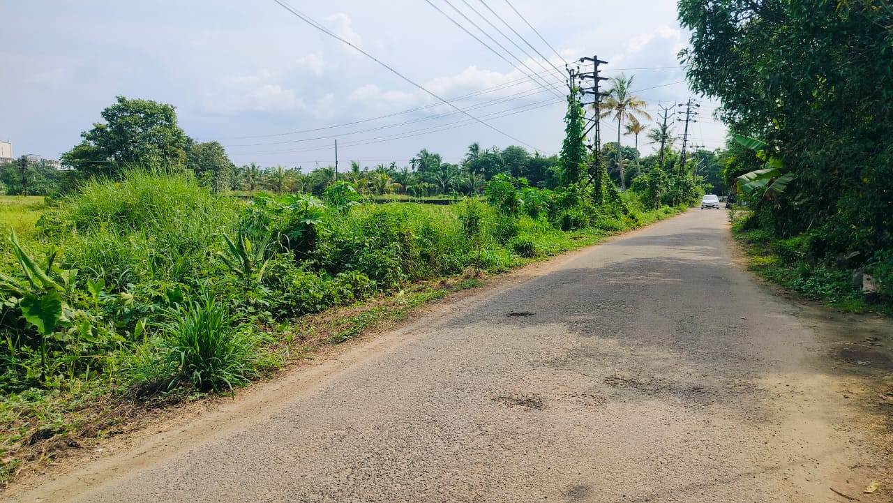 3.700 Cents of Land