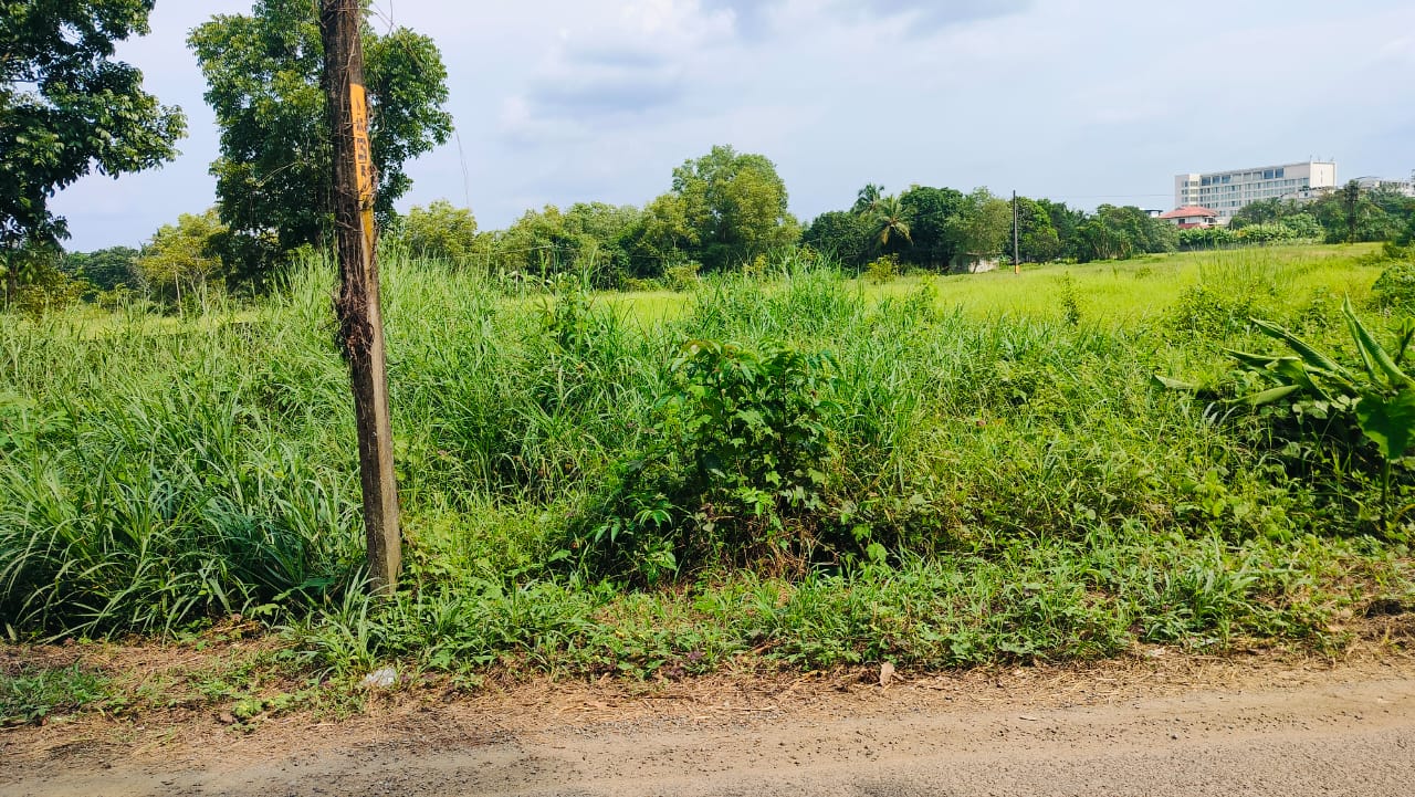 3.700 Cents of Land