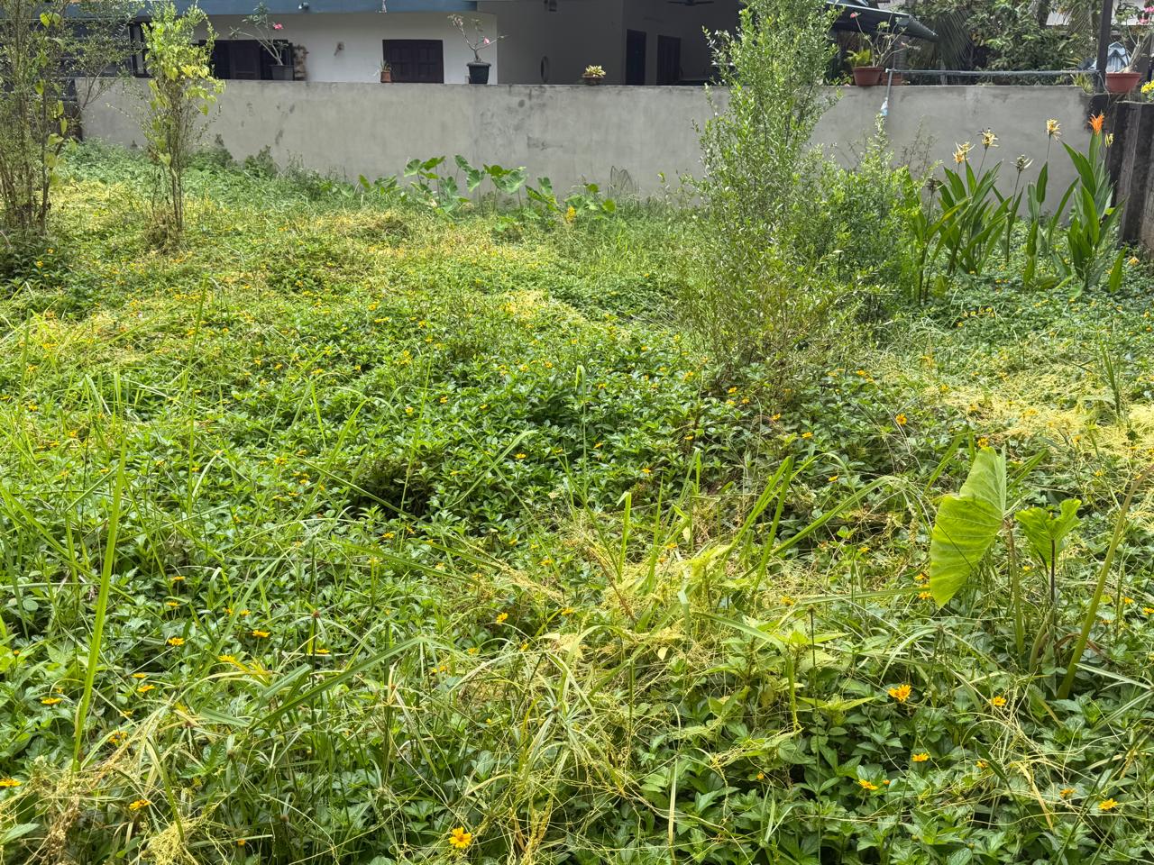 3.750 cents Of Land - for sale in Tripunithara, Kochi ( Ernakulam ), Kerala