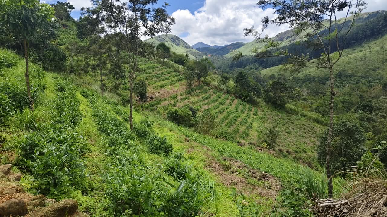 3 Acers of Land - for sale in Vagamon, Idukki, Kerala