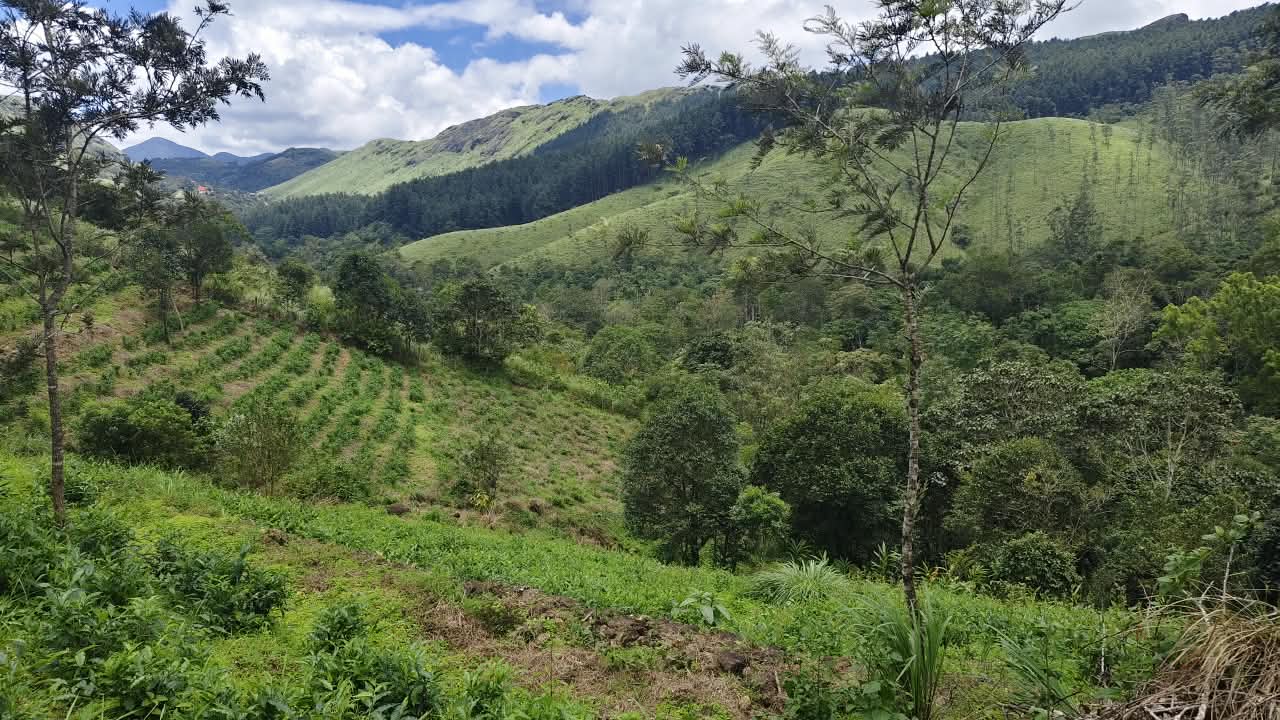 3 Acers of Land