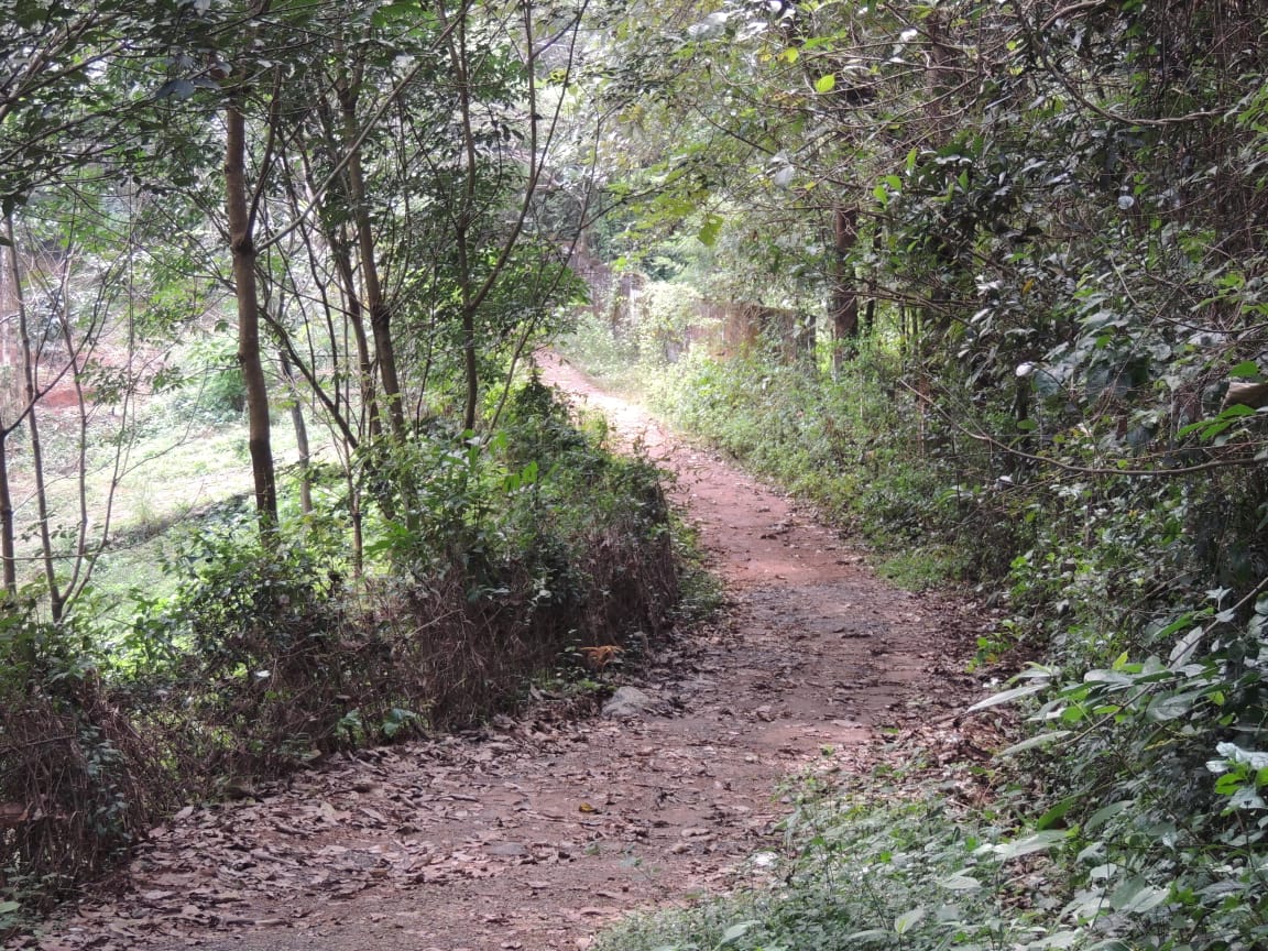 3 Acres of Land with Old House in Palakkad