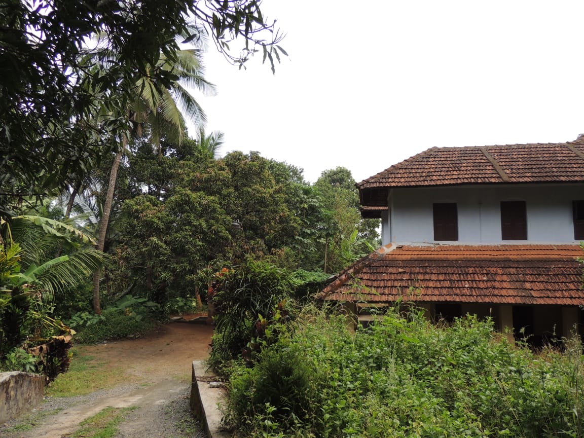 3 Acres of Land with Old House in Palakkad