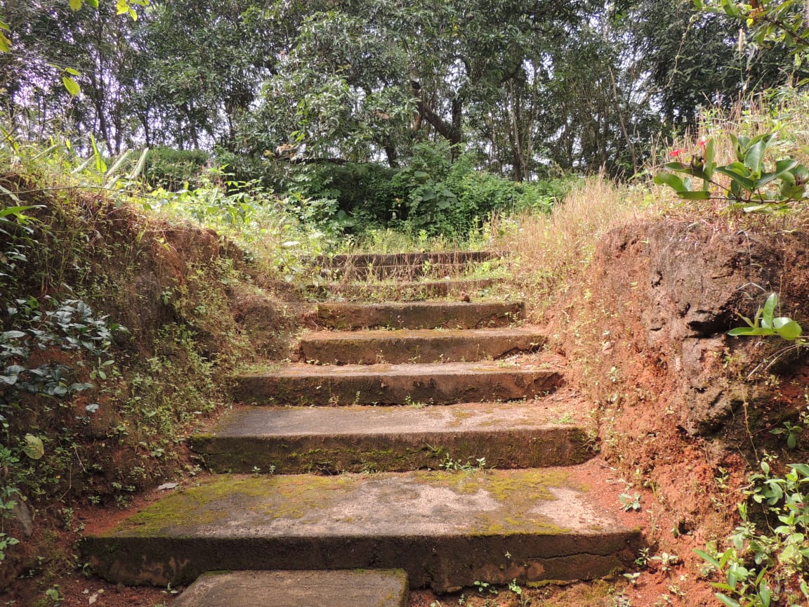 3 Acres of Land with Old House in Palakkad
