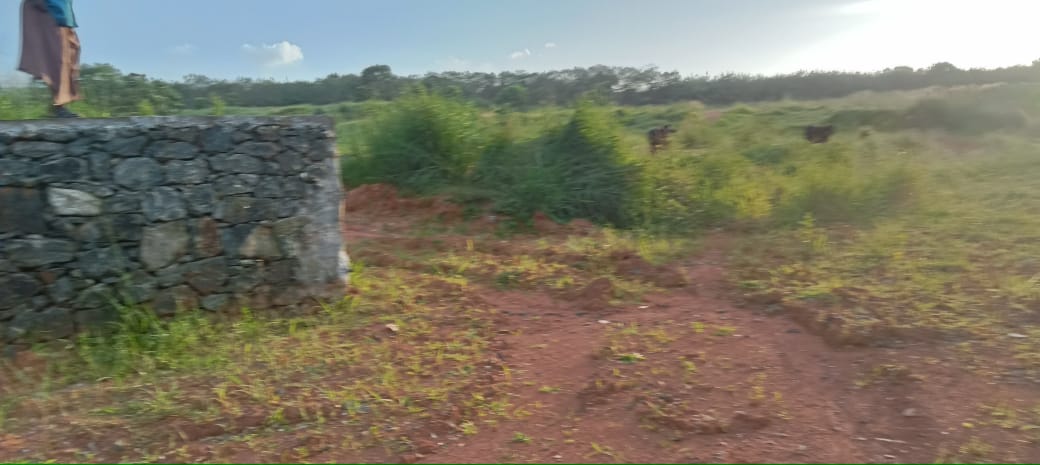 3 Acres of Plot - for sale in Pattimattom, Kochi, Kerala