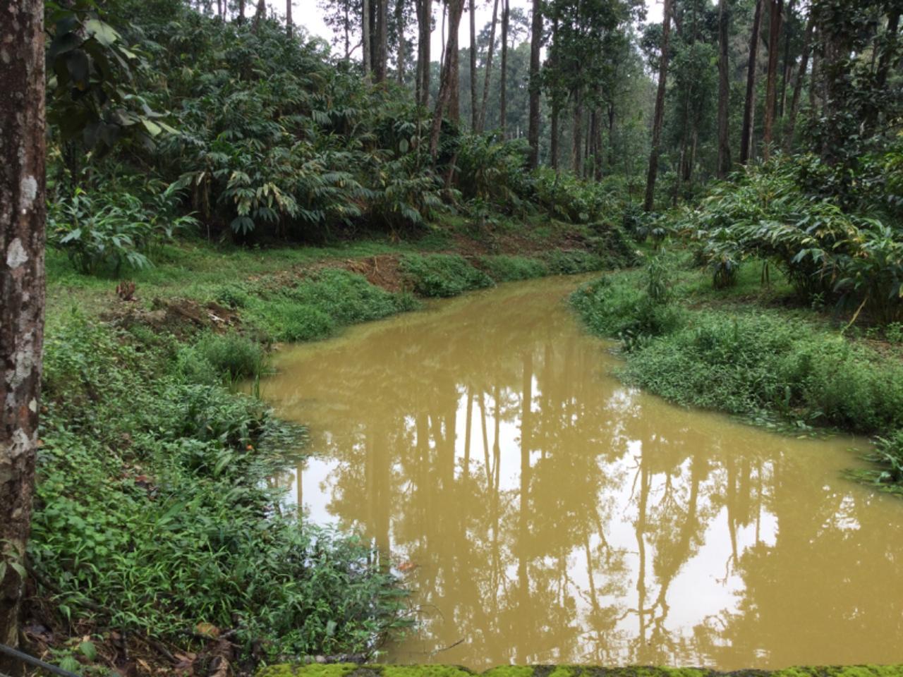 30 Acres of Land