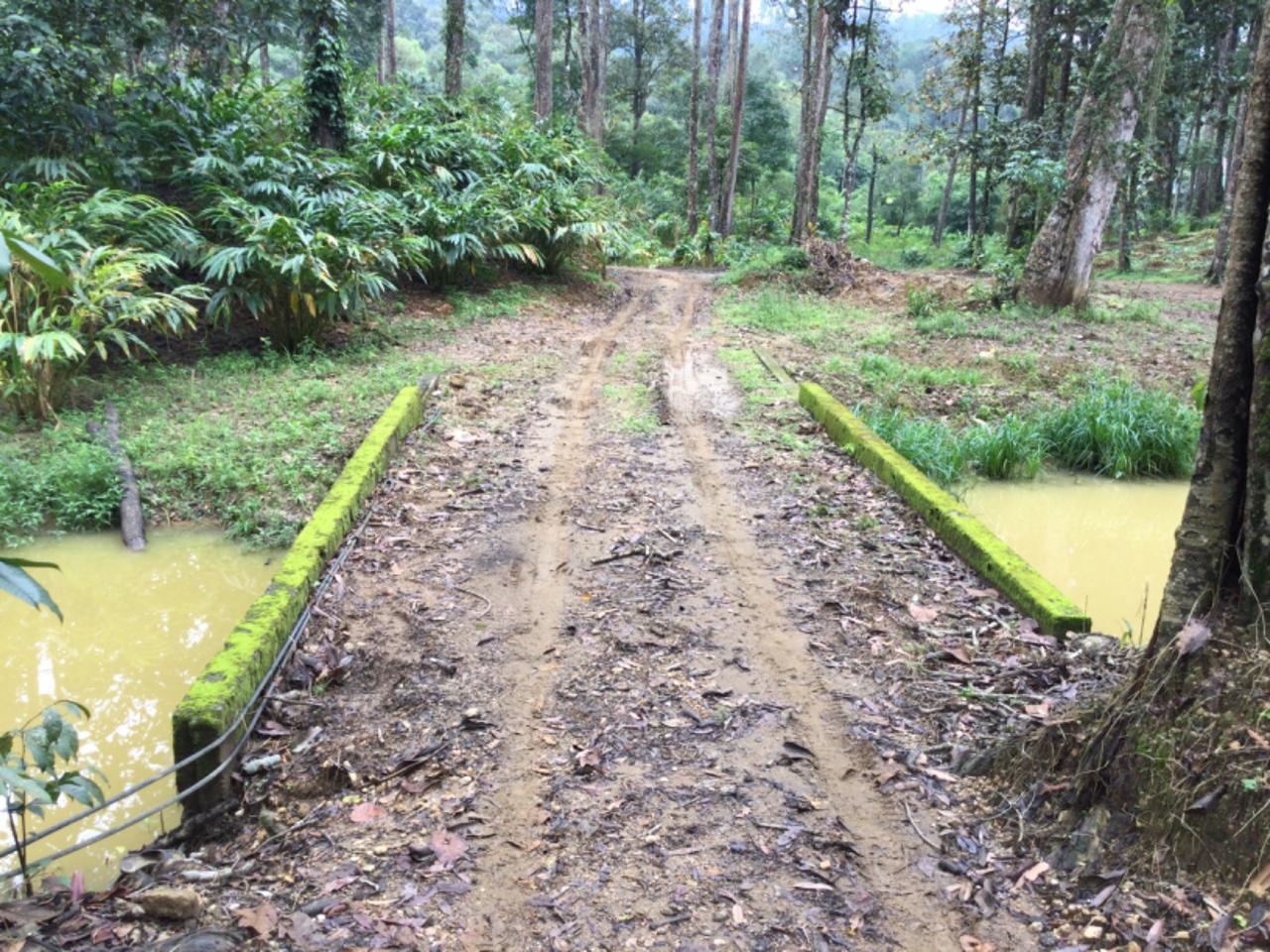 30 Acres of Land