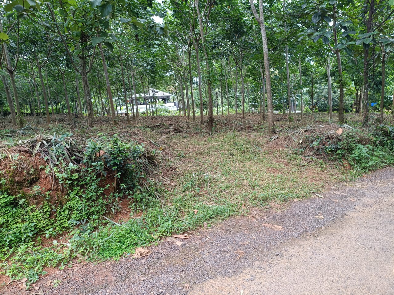 30 cents of Land