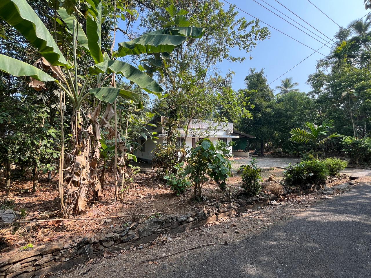 30 Cents of Land with 800sqft old house