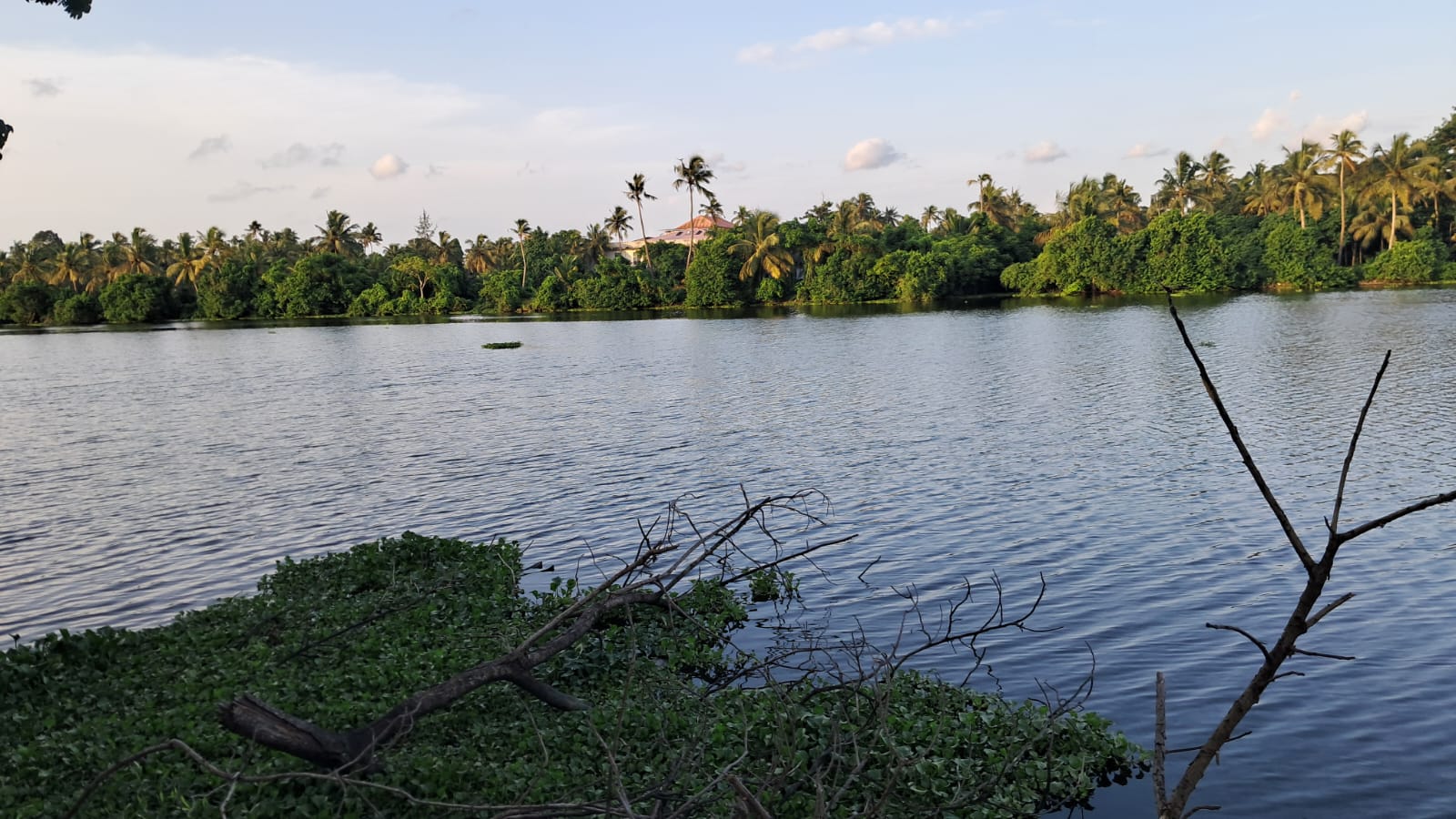 30 Cents of prime Commercial/ Residential waterfront  Property