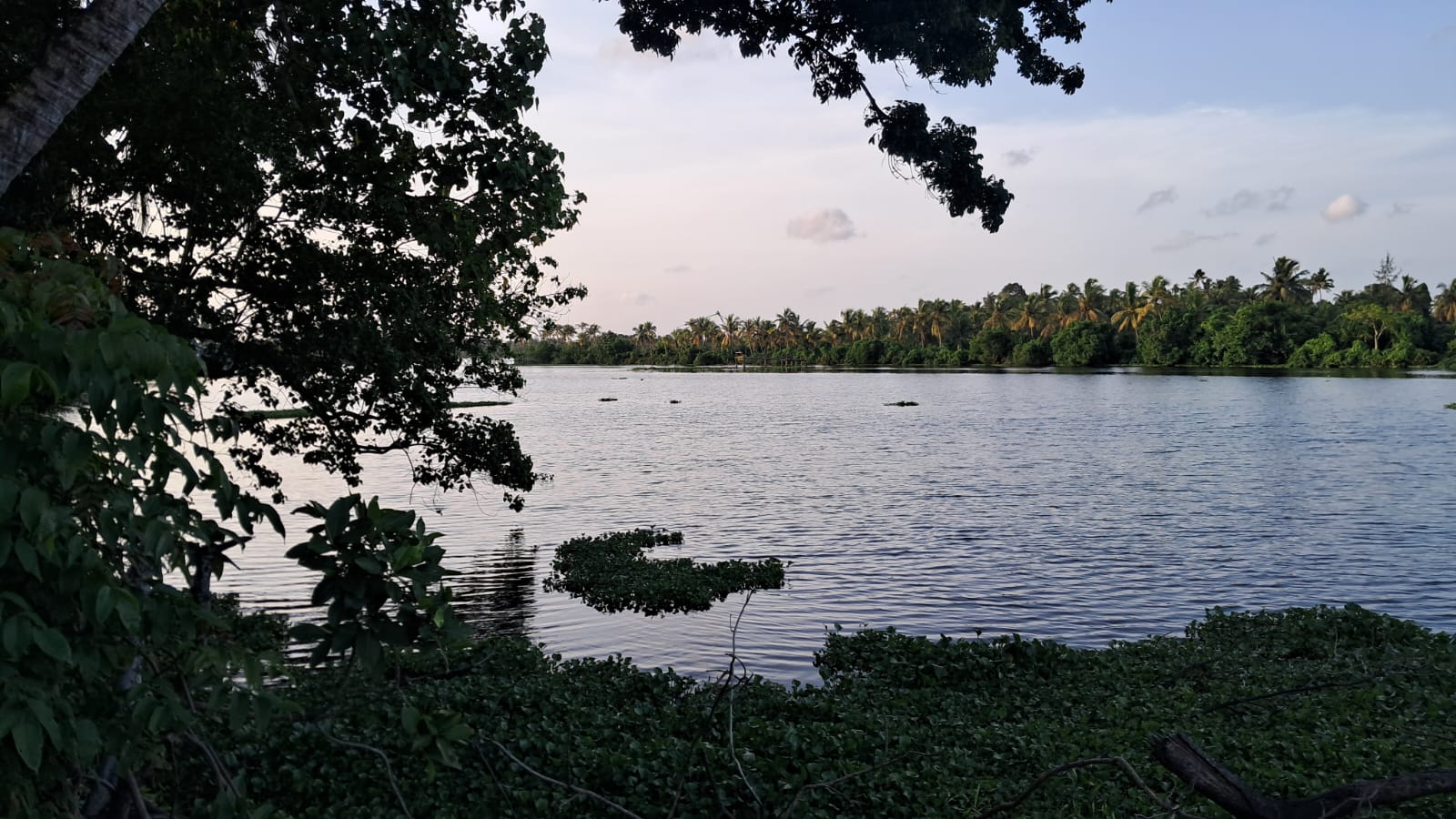 30 Cents of prime Commercial/ Residential waterfront  Property