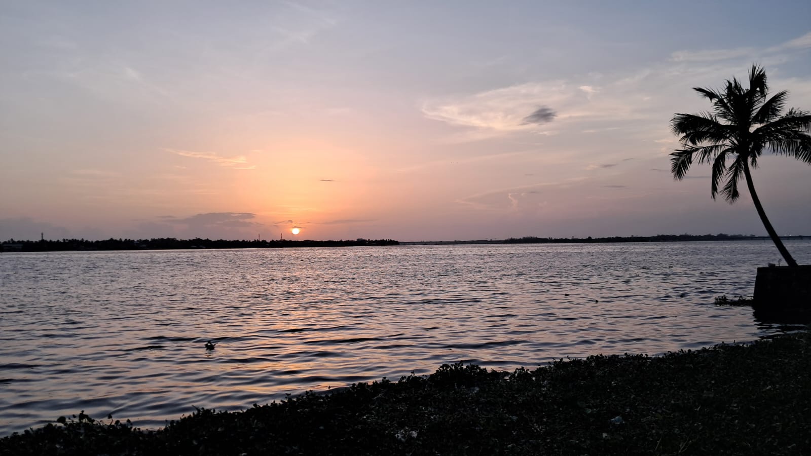 30 Cents of prime Commercial/ Residential waterfront property - for sale in Nettoor, Kochi ( Ernakulam ), Kerala