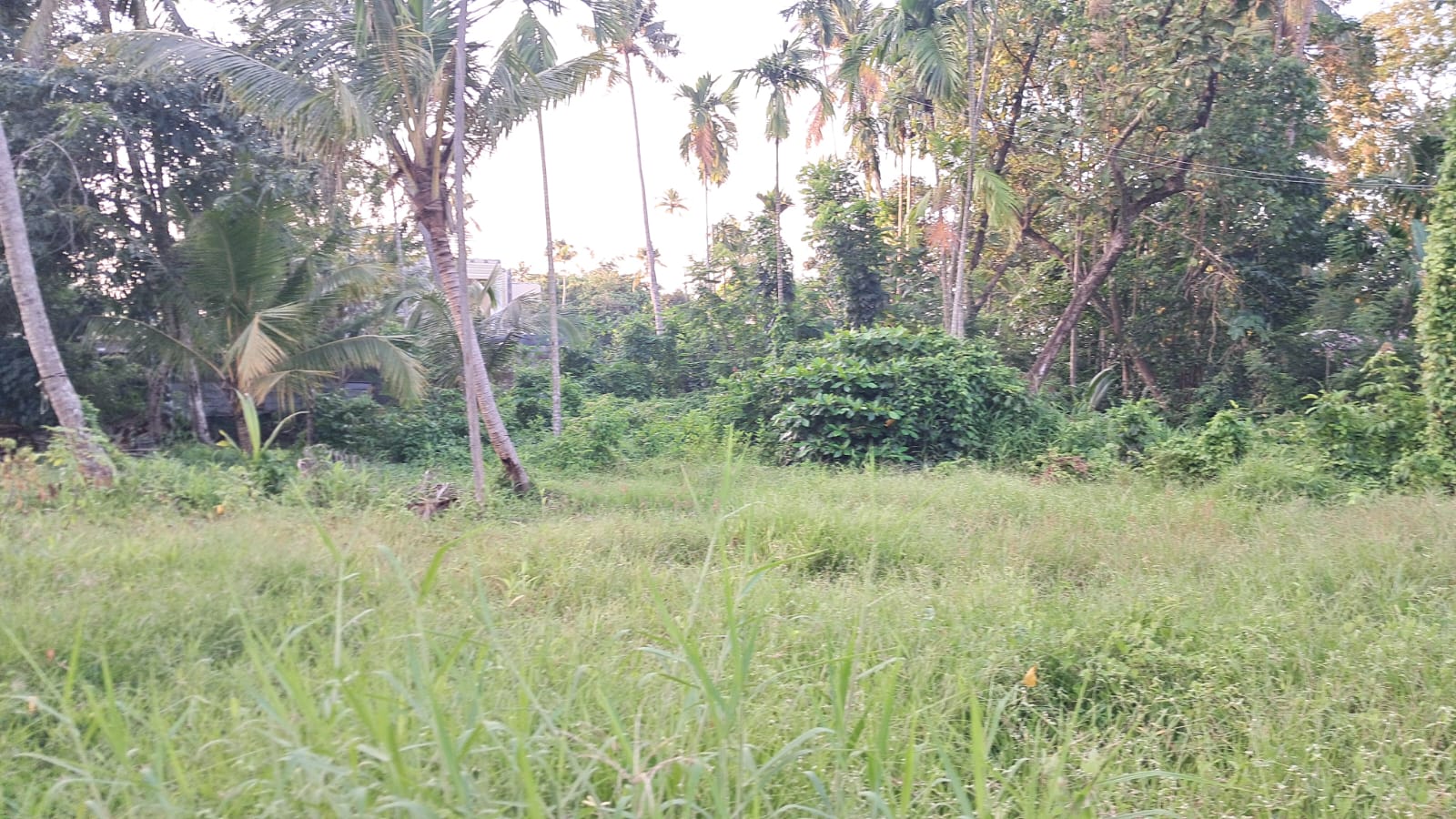 30 Cents of prime Commercial/ Residential waterfront property