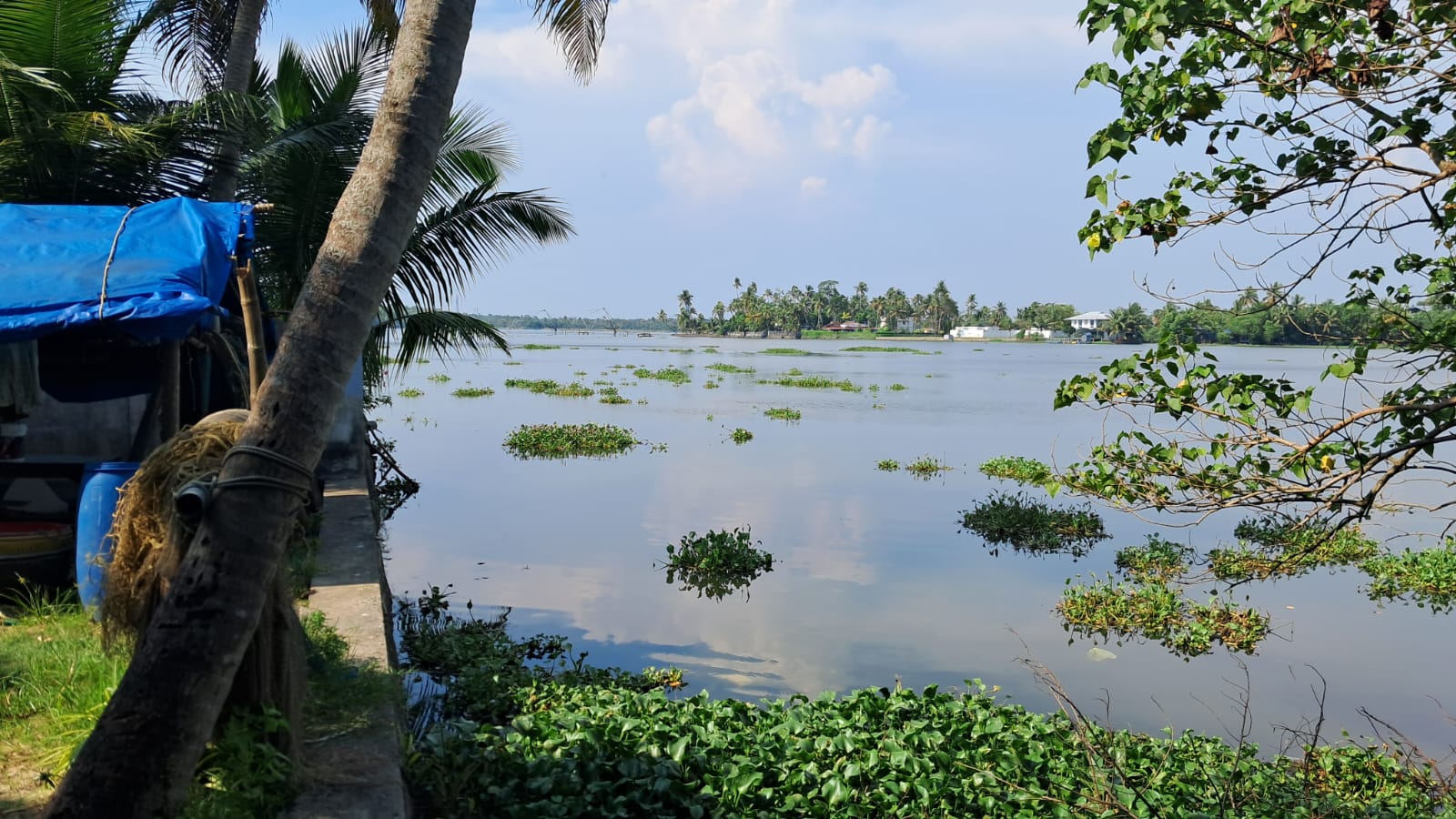 30 cents of waterfront Land - for sale in Panangad, Kochi ( Ernakulam ), Kerala