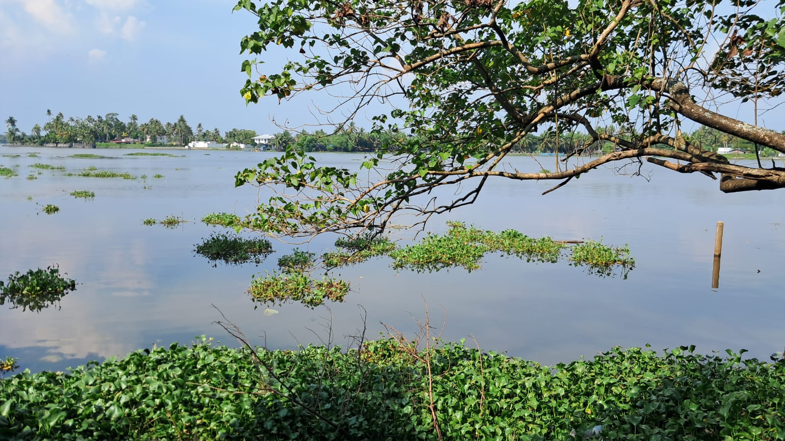30 cents of waterfront Land