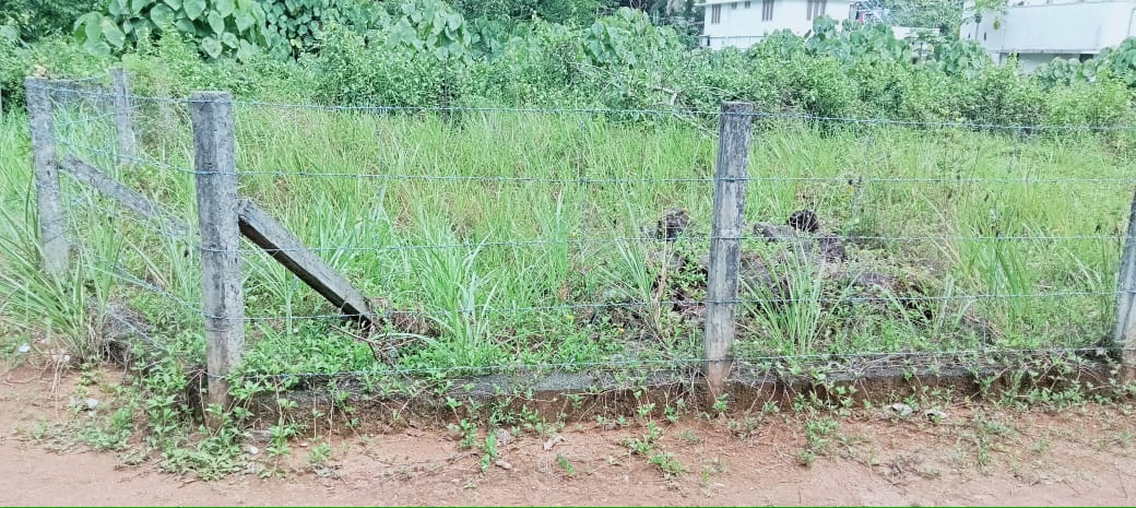 30Cents of Residential land