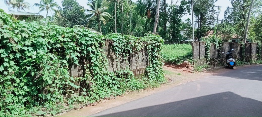 30Cents of Residential land