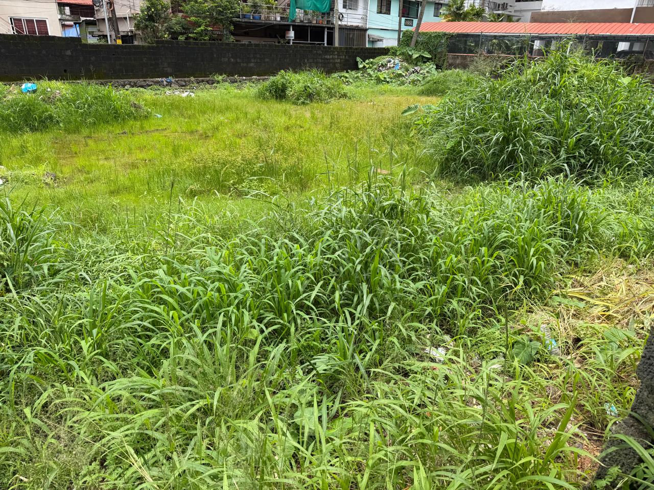 31.5 cents of Land - for sale in Kadavanthra, Kochi ( Ernakulam ), Kerala