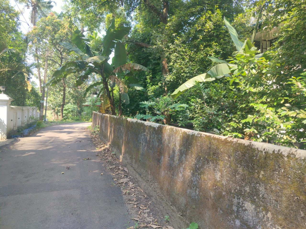 32 cents of Land with 1700sqft house - for sale in Angamally, Kochi ( Ernakulam ), Kerala