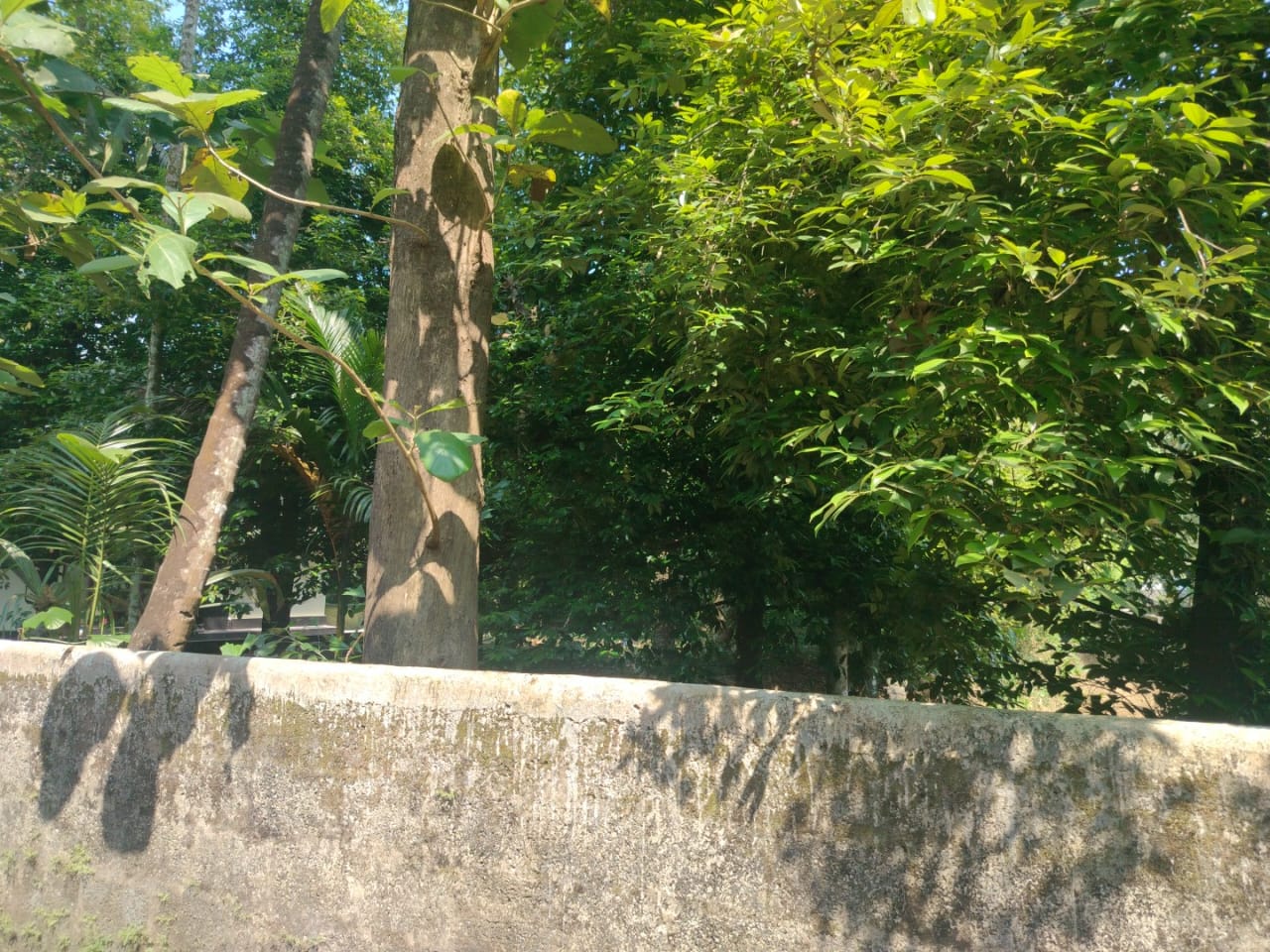 32 cents of Land with 1700sqft house