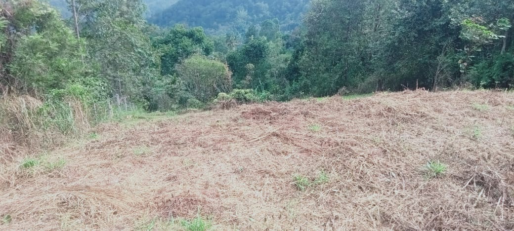 32Cents of Land